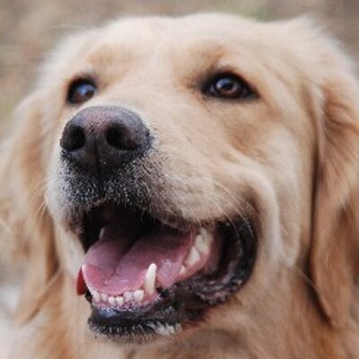 Profile Picture of Buscafuska (@BuscaFuska) on Twitter