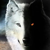 Michael Mera - Youtube Profile Picture of Michael Mera (@michaelmera6255) on Youtube