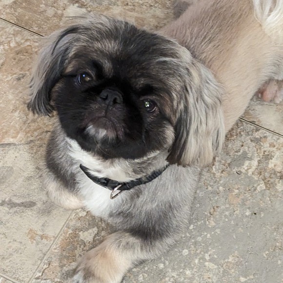 Profile Picture of Jacqy Gray (@jgray44) on Poshmark