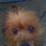 Profile Picture of pee wee (@alexandermccray99999) on Instagram