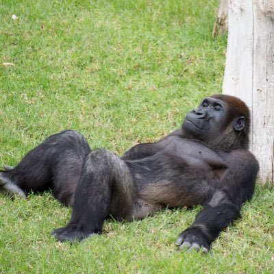 Profile Picture of Andy Wales (@WalesAndy) on Twitter