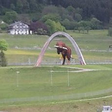 Alexander Ortner - Twitter Profile Picture of Alexander Ortner (@ali_ortner) on Twitter