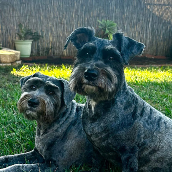 Profile Picture of Andrew Alatorre (@drew934) on Poshmark