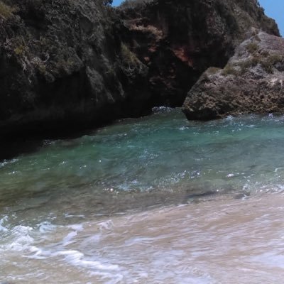 Profile Picture of Alexandra Marte (@Alexand29915759) on Twitter