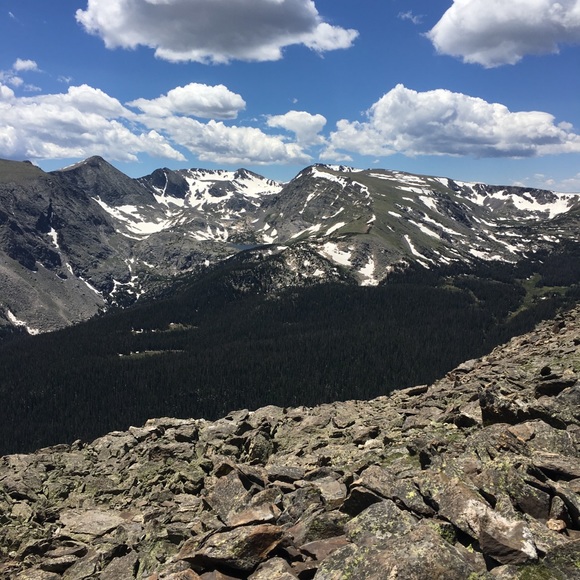 Profile Picture of Alex Brigger (@apbrigger) on Poshmark