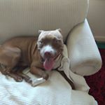Profile Picture of Jason Watts (@jason.watts.731135) on Instagram