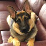 Profile Picture of Keith Howell (@keith.how8632) on Instagram