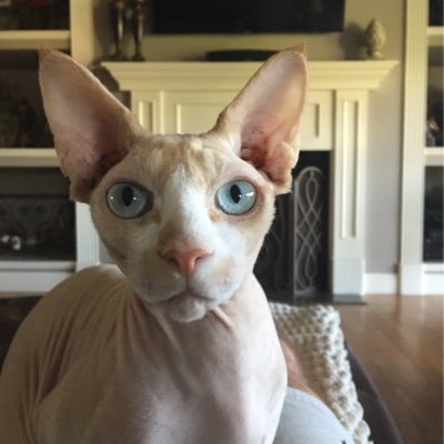 Profile Picture of Lance Sutton (@lancesutton69) on Twitter