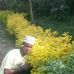 Profile Picture of Adam Hamad (@adam.hamad.94695) on Facebook