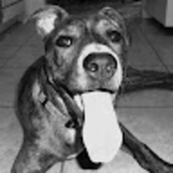 Profile Picture of Steve Jimenez (@stevejimenez44) on Poshmark