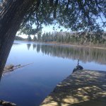 Profile Picture of Mark Korman (@mark_korman) on Instagram