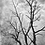 Profile Picture of Oblakalbo (@oblakalbo) on Flickr
