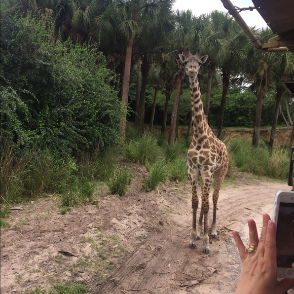 Profile Picture of Jimmy James (@g509) on Poshmark