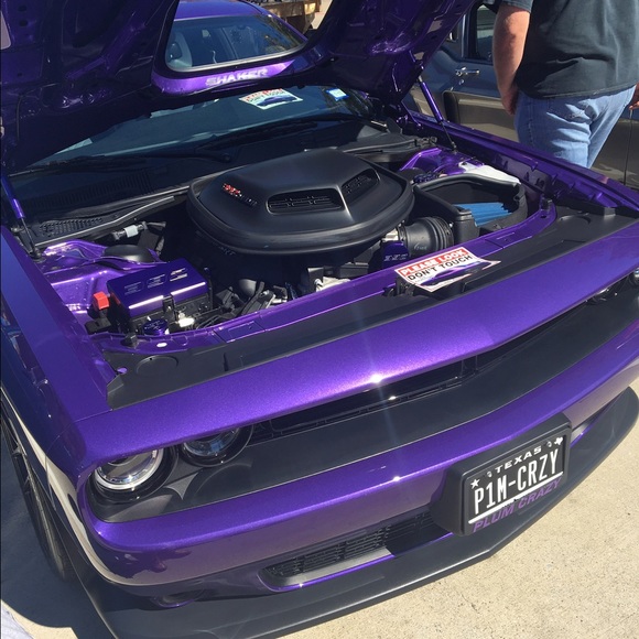 Profile Picture of Kameron Wideman (@kamkwideman) on Poshmark