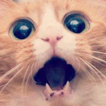 Profile Picture of Marc Vaupel (@marcvaupel) on Flickr