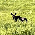 Profile Picture of Paula Townsend (@paula.townsend.16) on Instagram