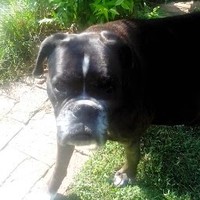 Profile Picture of Albert Ditoro (@albert-ditoro) on Quora