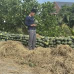 Profile Picture of Dưa Hấu Minh Châu (@nguyentrongmanh8) on Facebook