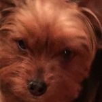 Profile Picture of Diane Ayers (@diane2243haylee05) on Instagram