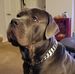 Profile Picture of Patrick Mason (@patrick.mason.33) on Facebook