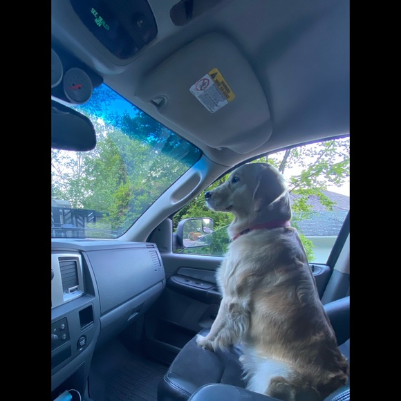 Profile Picture of Andrew Hannen (@andrewhannen) on Poshmark