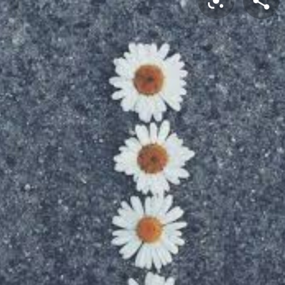 Profile Picture of Bianca Zaragoza (@biancamiranda4) on Poshmark