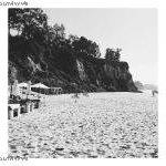 Profile Picture of Evelyn Scott (@evelynscottmmim) on Instagram