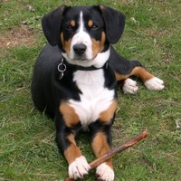 Benjamin Ruffin - Quora Profile Picture of Benjamin Ruffin (@benjamin-ruffin-1) on Quora