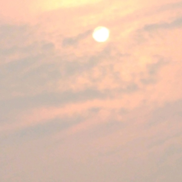 Profile Picture of Luz Naranjo (@luzns21) on Poshmark