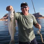 Profile Picture of Steve Alford (@alford4798) on Instagram