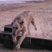 Steve Miller - Youtube Profile Picture of Steve Miller (@stevemiller859) on Youtube