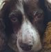 Profile Picture of Dawn Charters (@dawn.charters.37) on Facebook