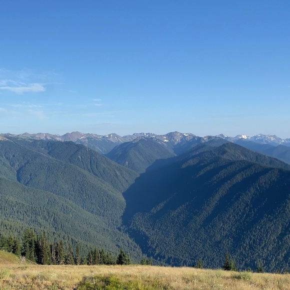 Profile Picture of Nick Colbey (@nickcolbey) on Poshmark