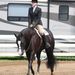 Profile Picture of Ivy Elizabeth (@ivylizabeth) on Pinterest
