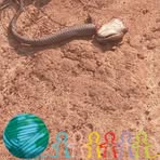 Profile Picture of James Kygun (@James-Kygun) on Facebook