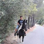 Profile Picture of Niko Morgante (@nicolas.morgante) on Instagram