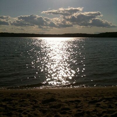 Profile Picture of Steve Lau (@stevealau) on Twitter