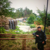 Profile Picture of Alex Vela (@alexvela7948) on Youtube