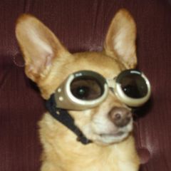 Profile Picture of josephfalkenberg2 (@josephfalkenberg2) on Tiktok