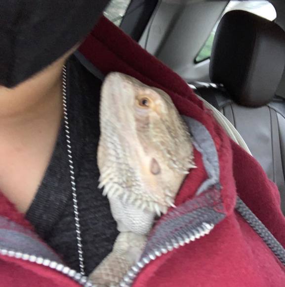 Profile Picture of Anabelle Michaca (@amichaca96) on Poshmark