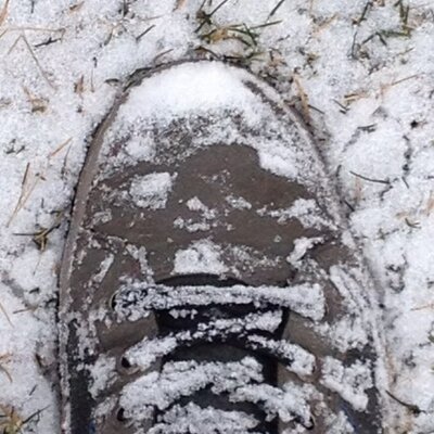 Profile Picture of Jon Klassen (@JonKlassen1) on Twitter