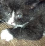 Profile Picture of Lisa Honaker (@lisa.treadway.5) on Facebook