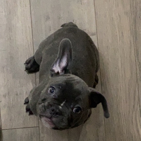 Profile Picture of Landon Drosihn (@lando_dro) on Poshmark