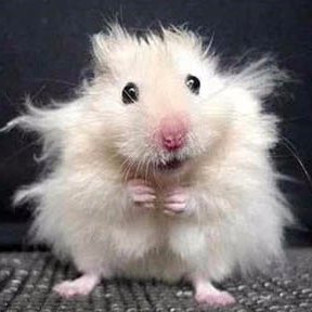 Profile Picture of Taylor Jameson (@taylorjameson0) on Twitter