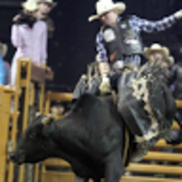 Profile Picture of Reese Braska (@reese_braska) on Poshmark