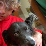 Ryan Whittaker - Instagram Profile Picture of Ryan Whittaker (@_ryan.whittaker_7) on Instagram