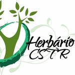 Herbário CSTR Rita Baltazar