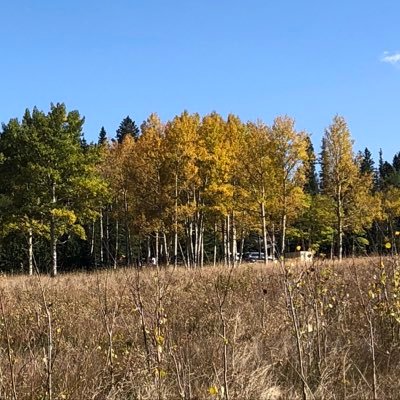 Profile Picture of Jacob Grose (@JacobGrose5) on Twitter