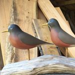 Profile Picture of Jamie Hand (@jphand_capemay) on Instagram