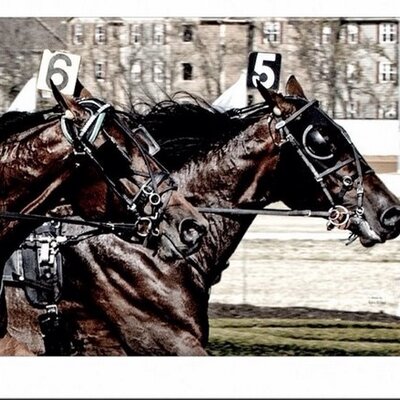 Profile Picture of Robert McIntosh 52 (@Mcintosh52Bob) on Twitter